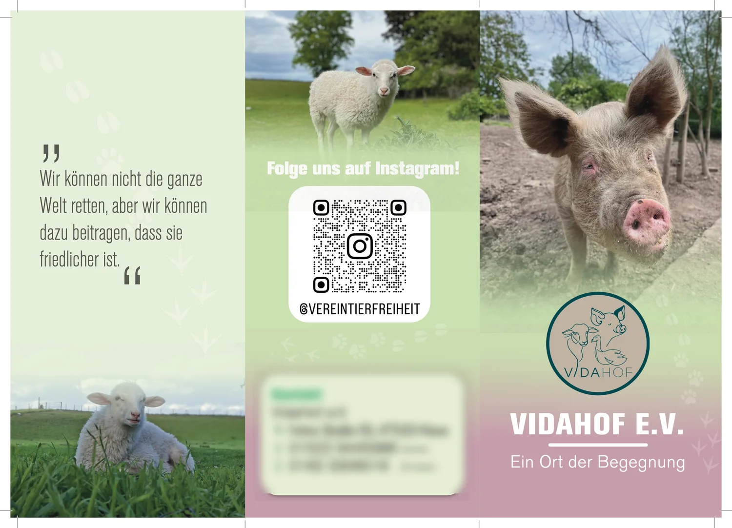 Außenseite des Faltblatts: Zitatpanel, Panel mit Instagram-QR-Code und Kontakt, Titelpanel mit Schwein und Vereinslogo