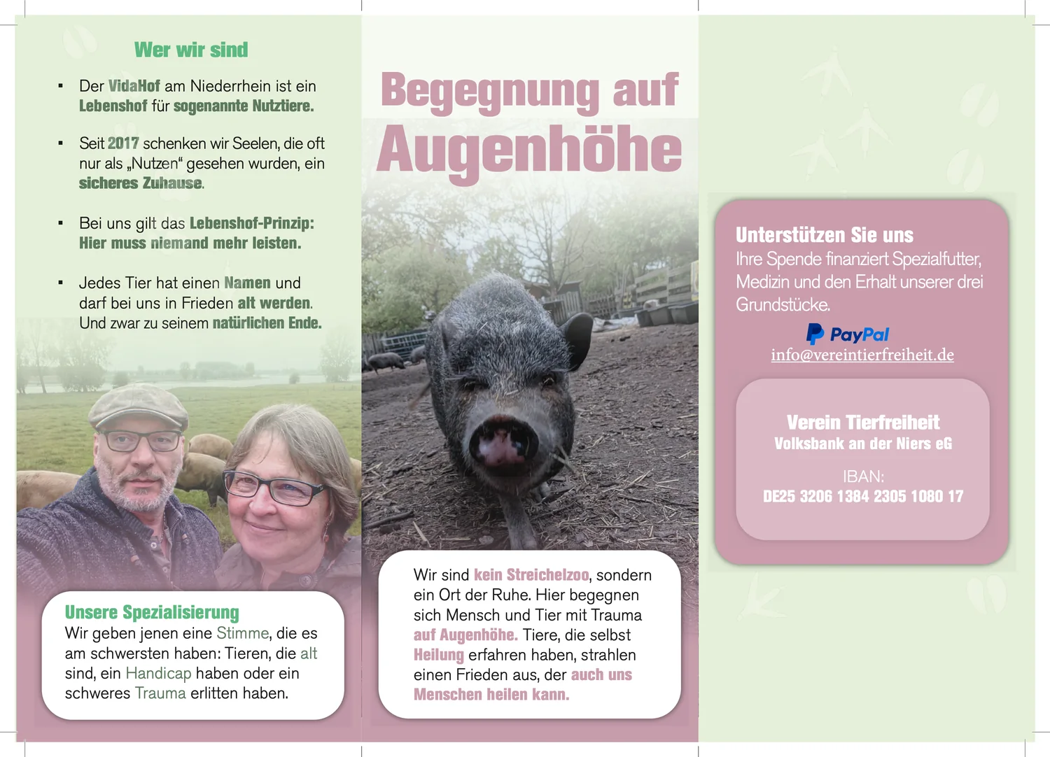 Innenseite des Faltblatts: „Wer wir sind“ als Liste, in der Mitte ein Schwein mit Zitatkasten, rechts das Spendenpanel